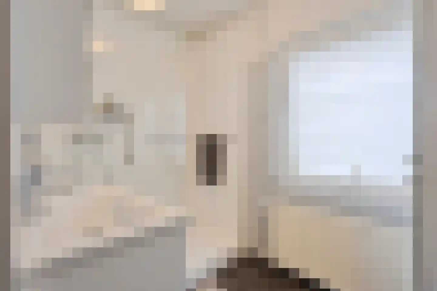 St. Wilbertstraat 20 Demen thumbnail 30