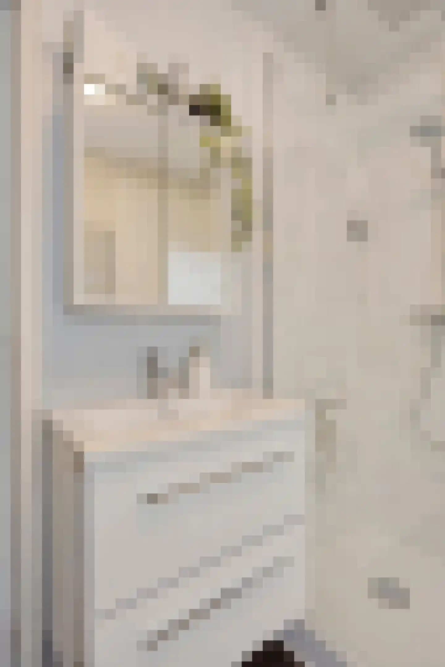 St. Wilbertstraat 20 Demen thumbnail 32