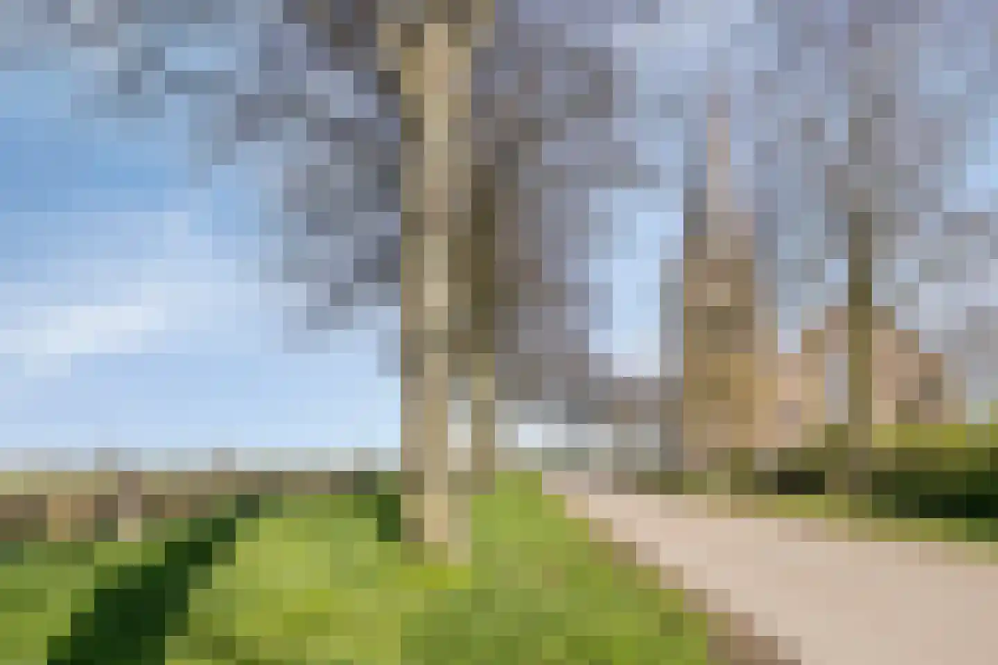 St. Wilbertstraat 20 Demen thumbnail 43
