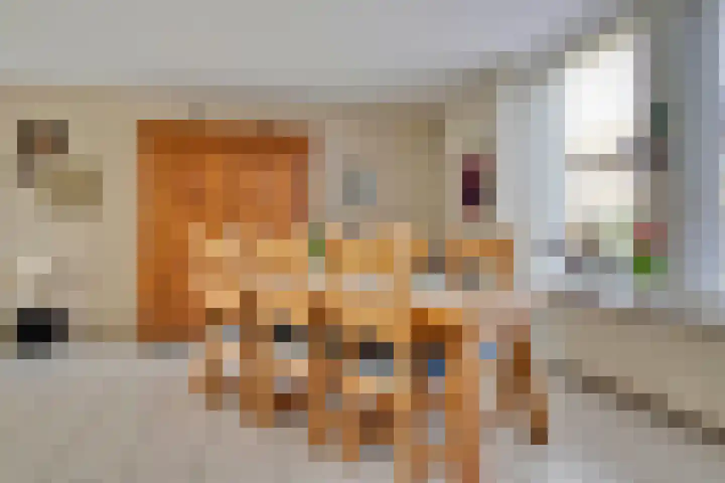 St Wilbertsweg 3 Geijsteren thumbnail 12