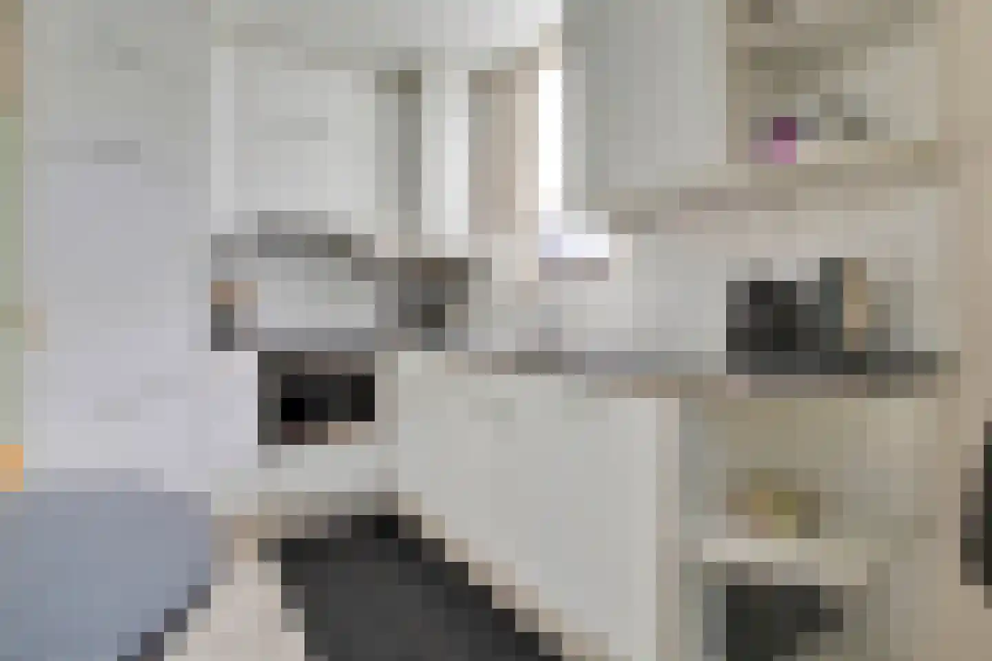 St Wilbertsweg 3 Geijsteren thumbnail 13