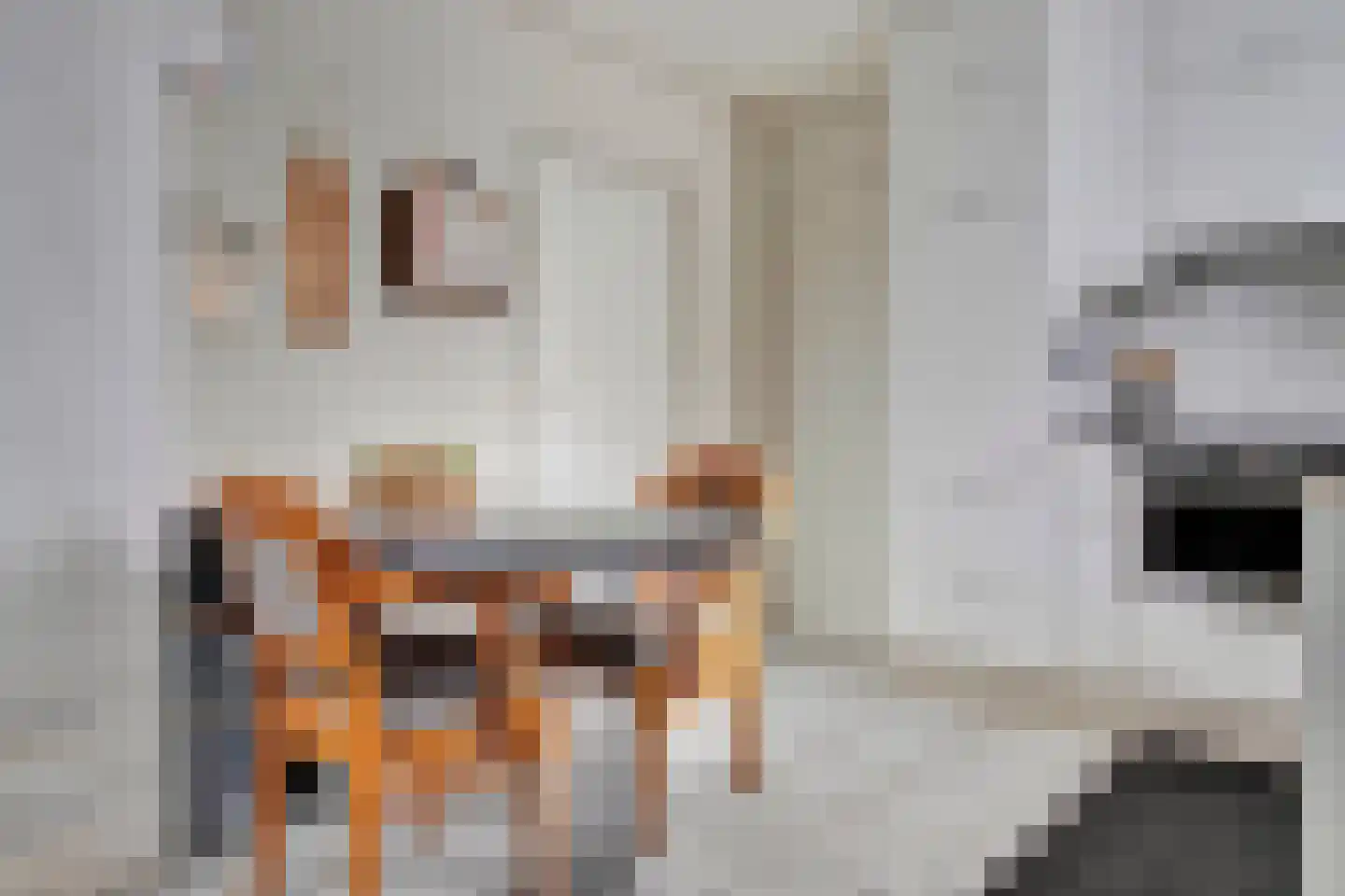 St Wilbertsweg 3 Geijsteren thumbnail 15