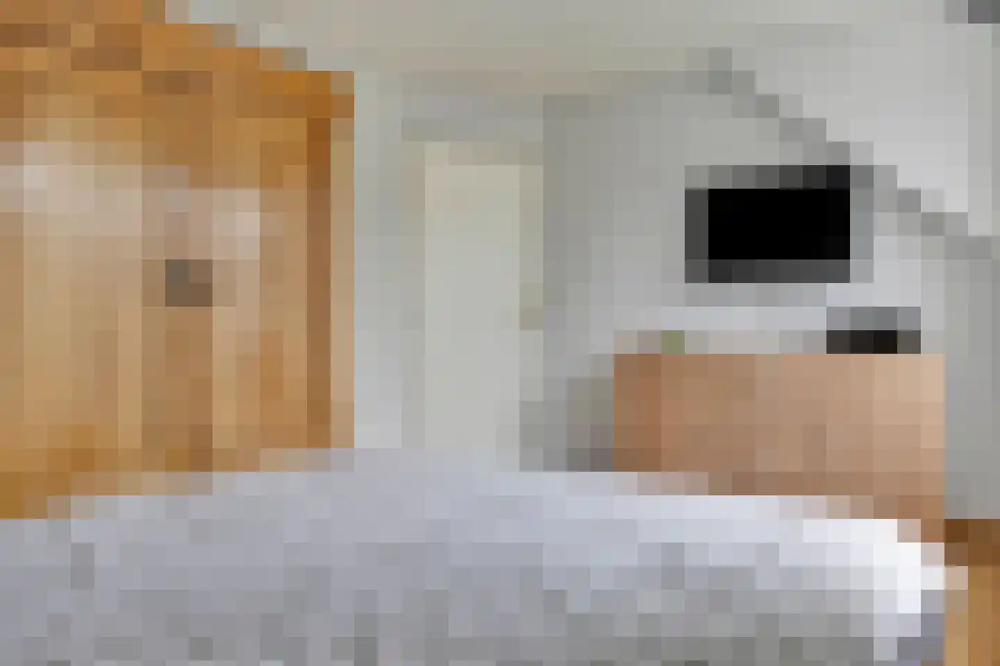 St Wilbertsweg 3 Geijsteren thumbnail 31