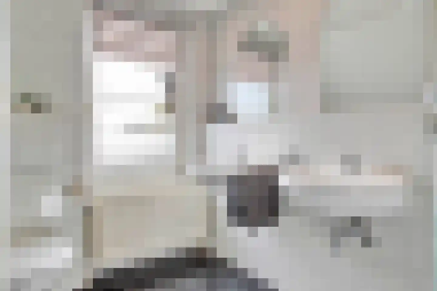 St Wilbertsweg 3 Geijsteren thumbnail 41