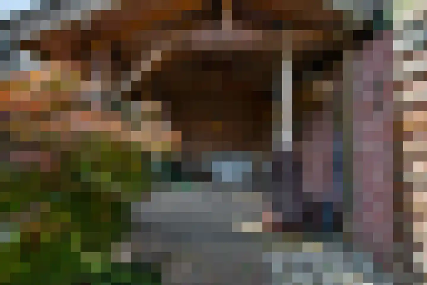 St Wilbertsweg 3 Geijsteren thumbnail 57