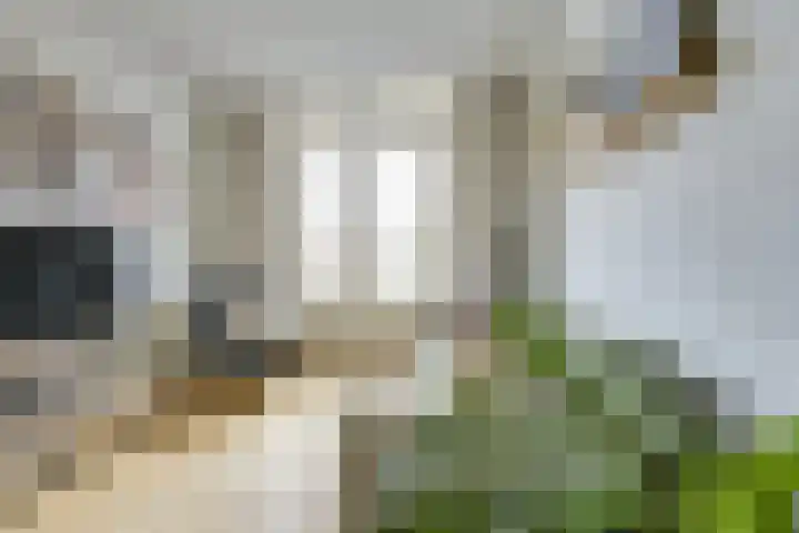 St.-Willibrordusstraat 1 BS Utrecht thumbnail 20
