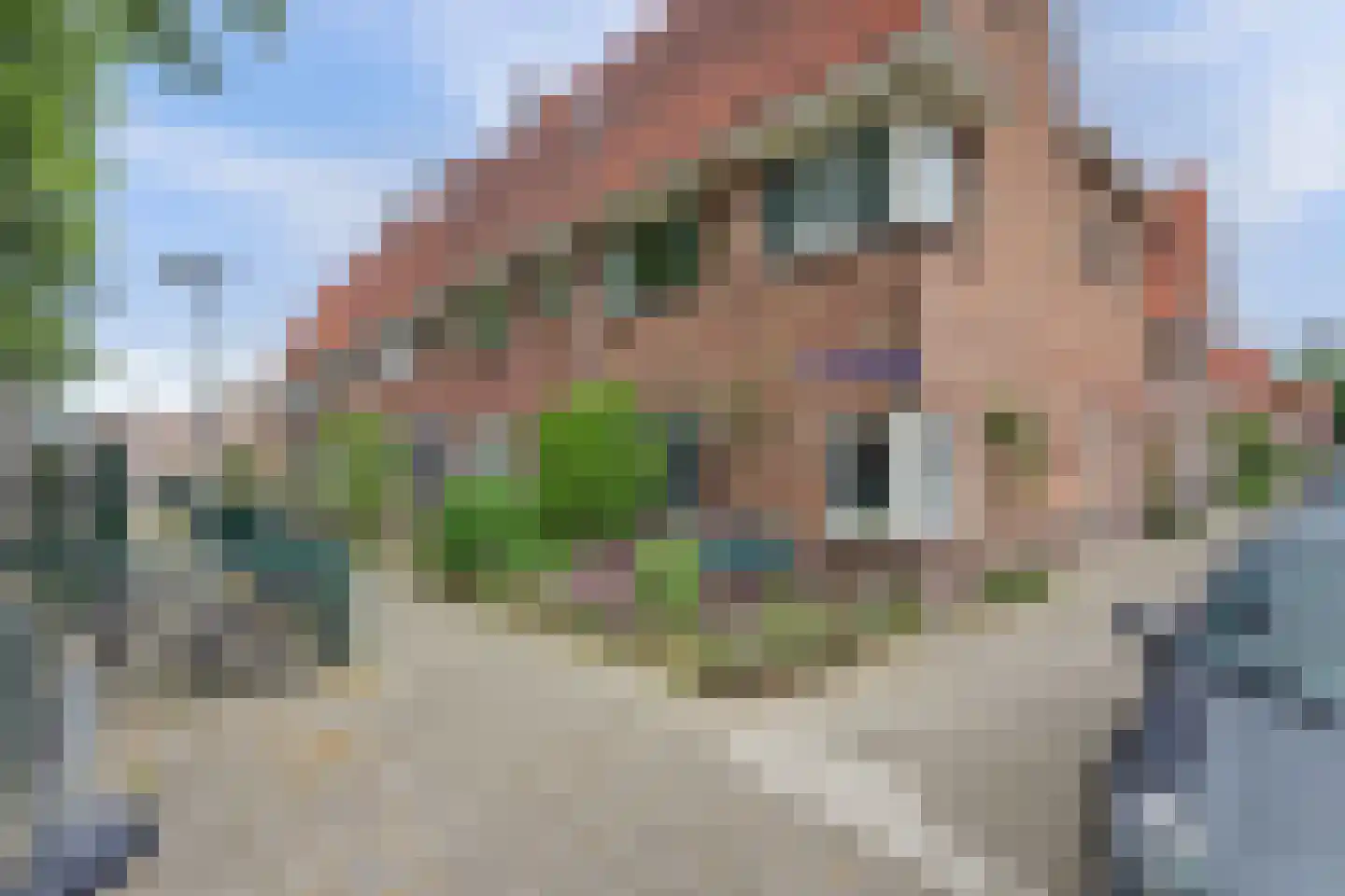 St.-Willibrordusstraat 1 BS Utrecht thumbnail 38