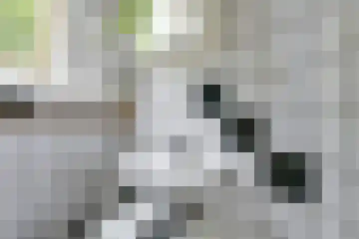 St.-Willibrordusstraat 1 BS Utrecht thumbnail 39