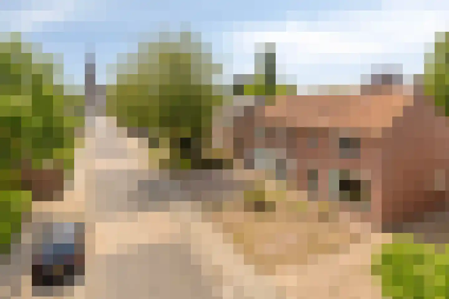 St. Willibrordusstraat 12 Berghem thumbnail 37
