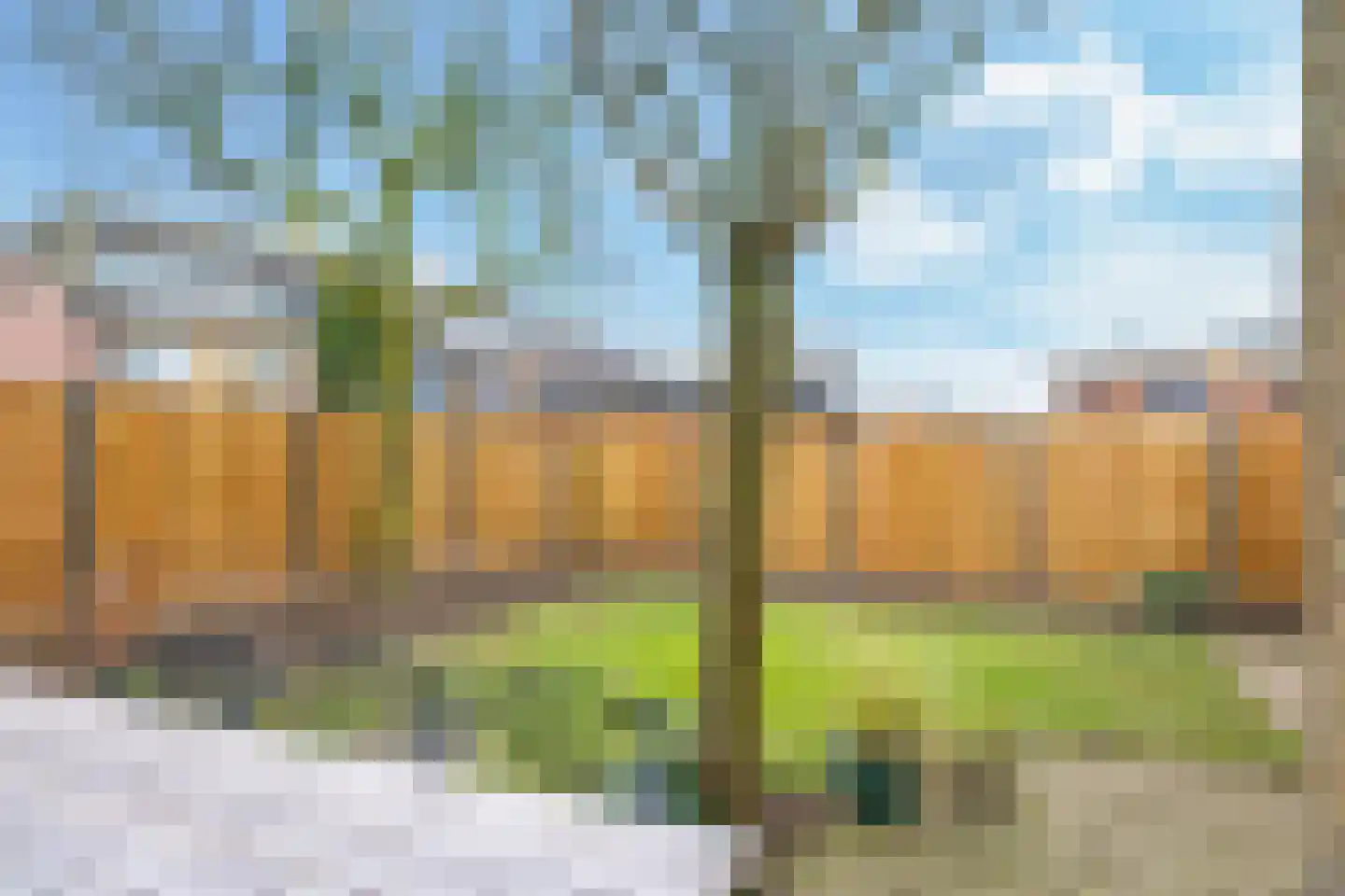St. Willibrordusstraat 15 Herveld thumbnail 64
