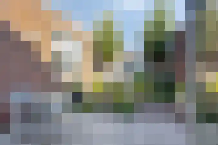 St. Willibrordusstraat 19 A Berghem thumbnail 29
