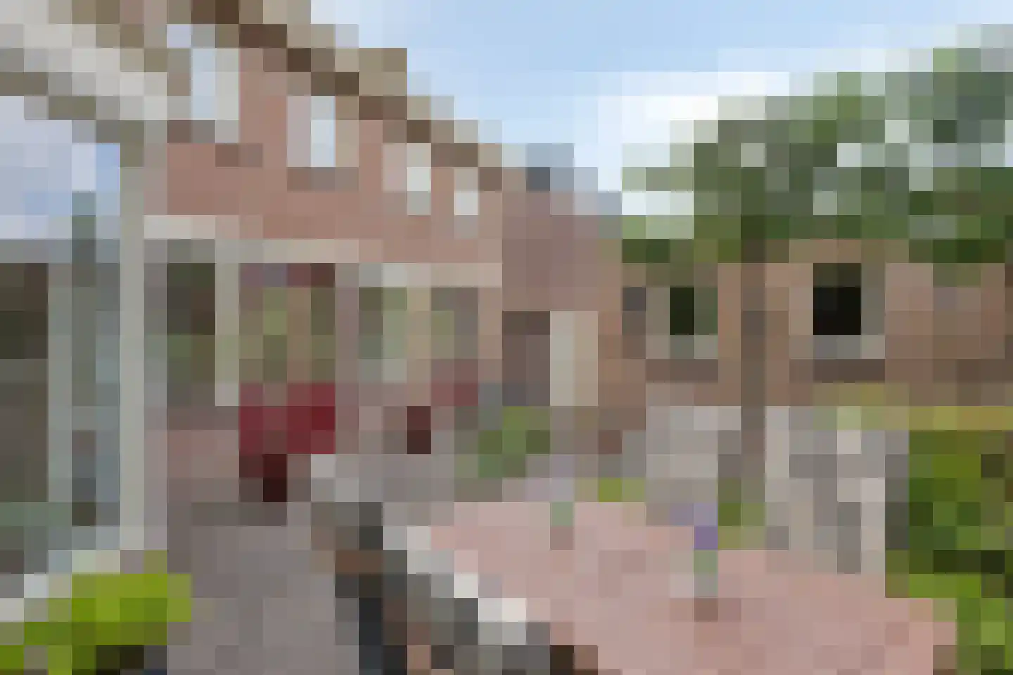 St. Willibrordusstraat 8 C Berghem thumbnail 29