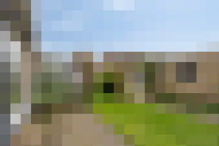 St. Willibrordusstraat 9 Herveld thumbnail 32