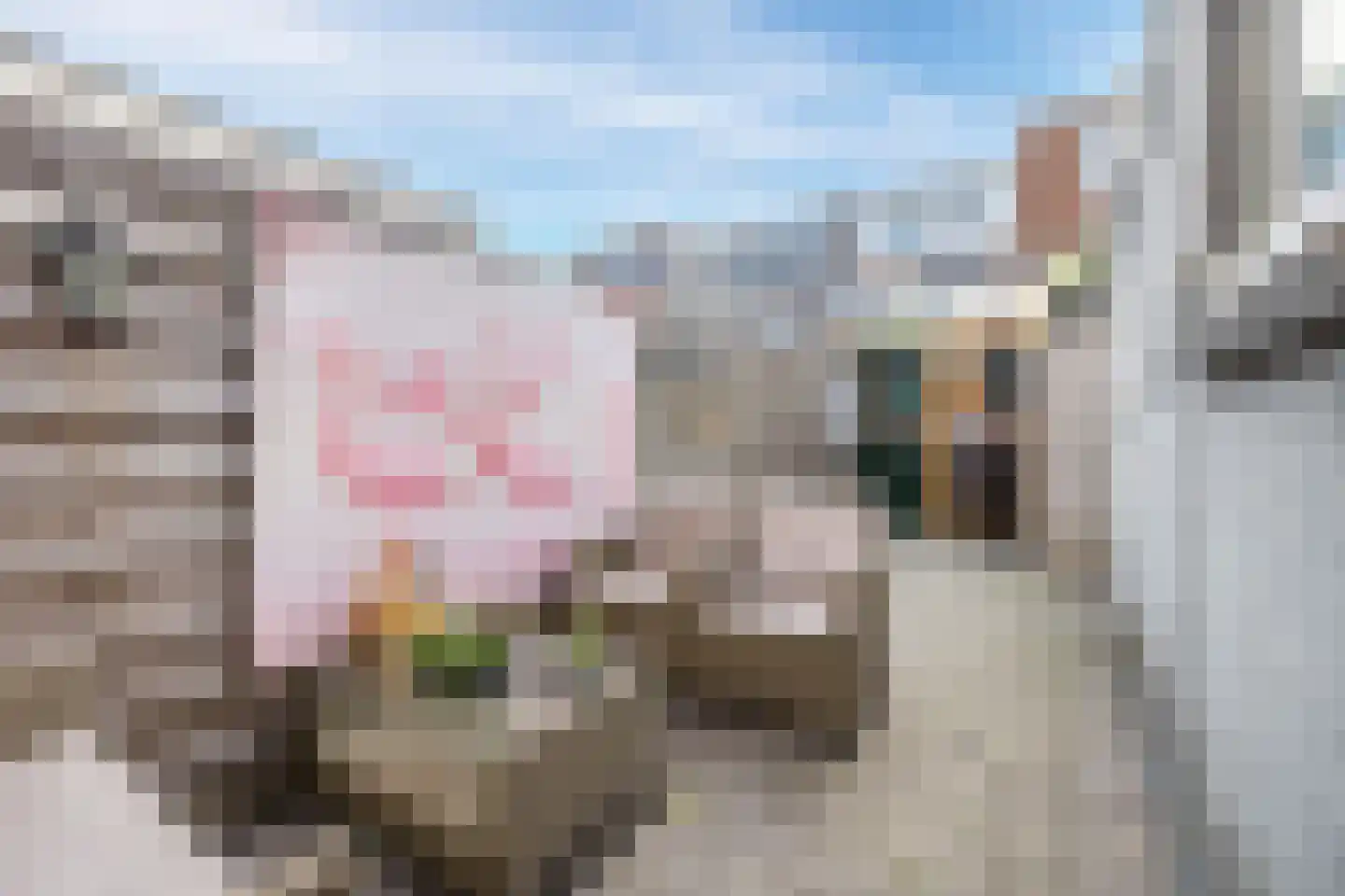St.-Winfridusstraat 47 Utrecht thumbnail 36