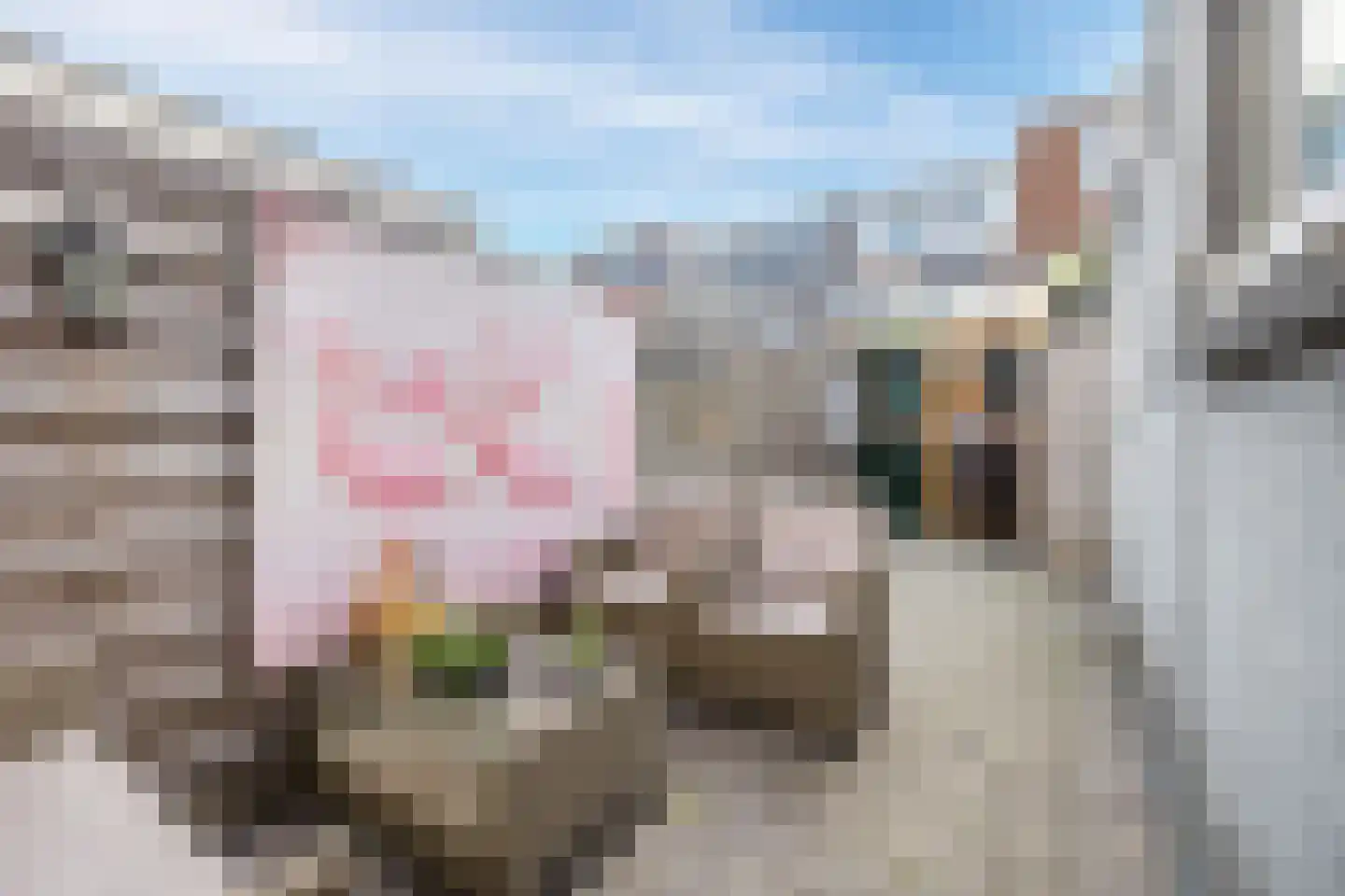 St.-Winfridusstraat 47 Utrecht thumbnail 36