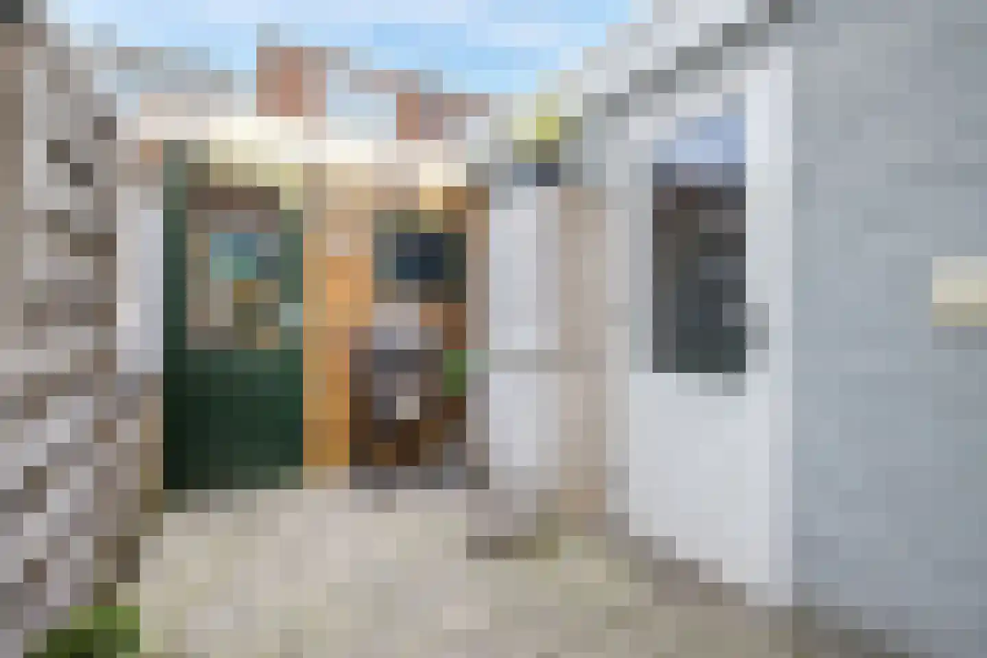 St.-Winfridusstraat 47 Utrecht thumbnail 38