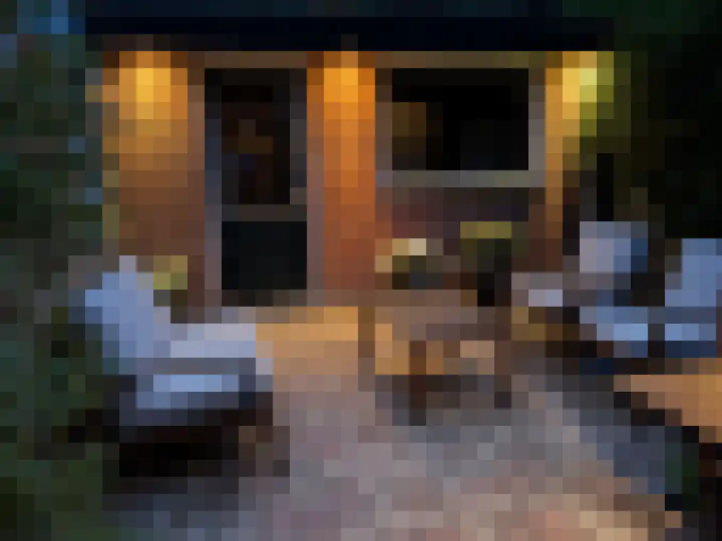 St.-Winfridusstraat 9 Utrecht thumbnail 29