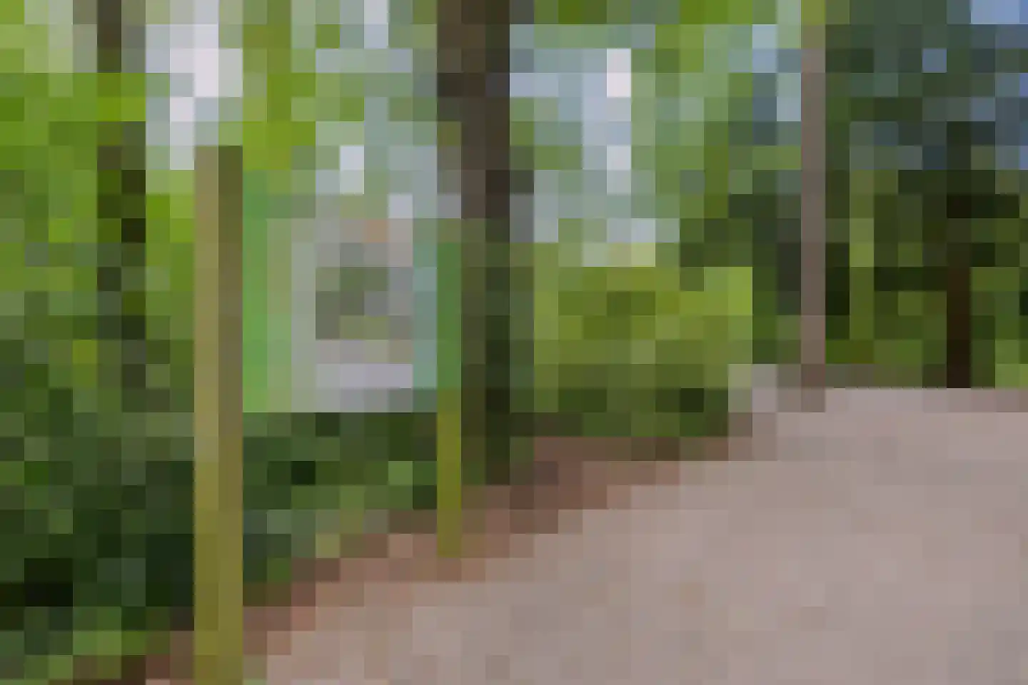 St.-Winfridusstraat 9 Utrecht thumbnail 36