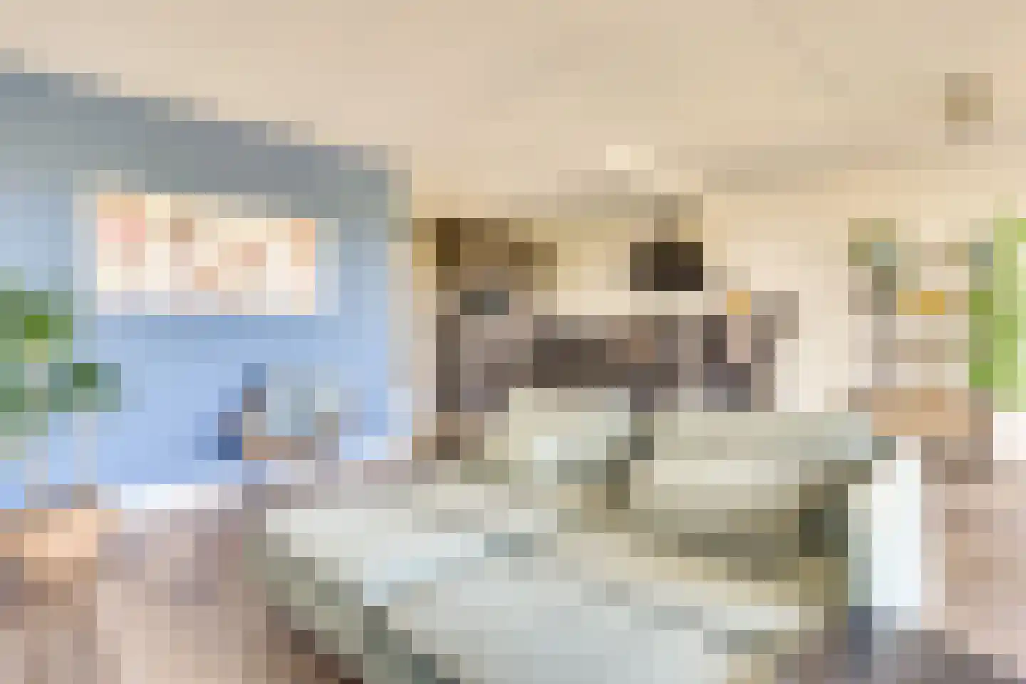 St Wirostraat 20 Eindhoven thumbnail 13