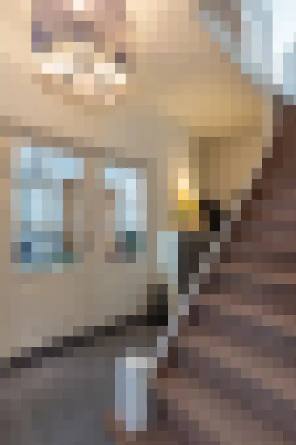 Staai 15 Grevenbicht thumbnail 11