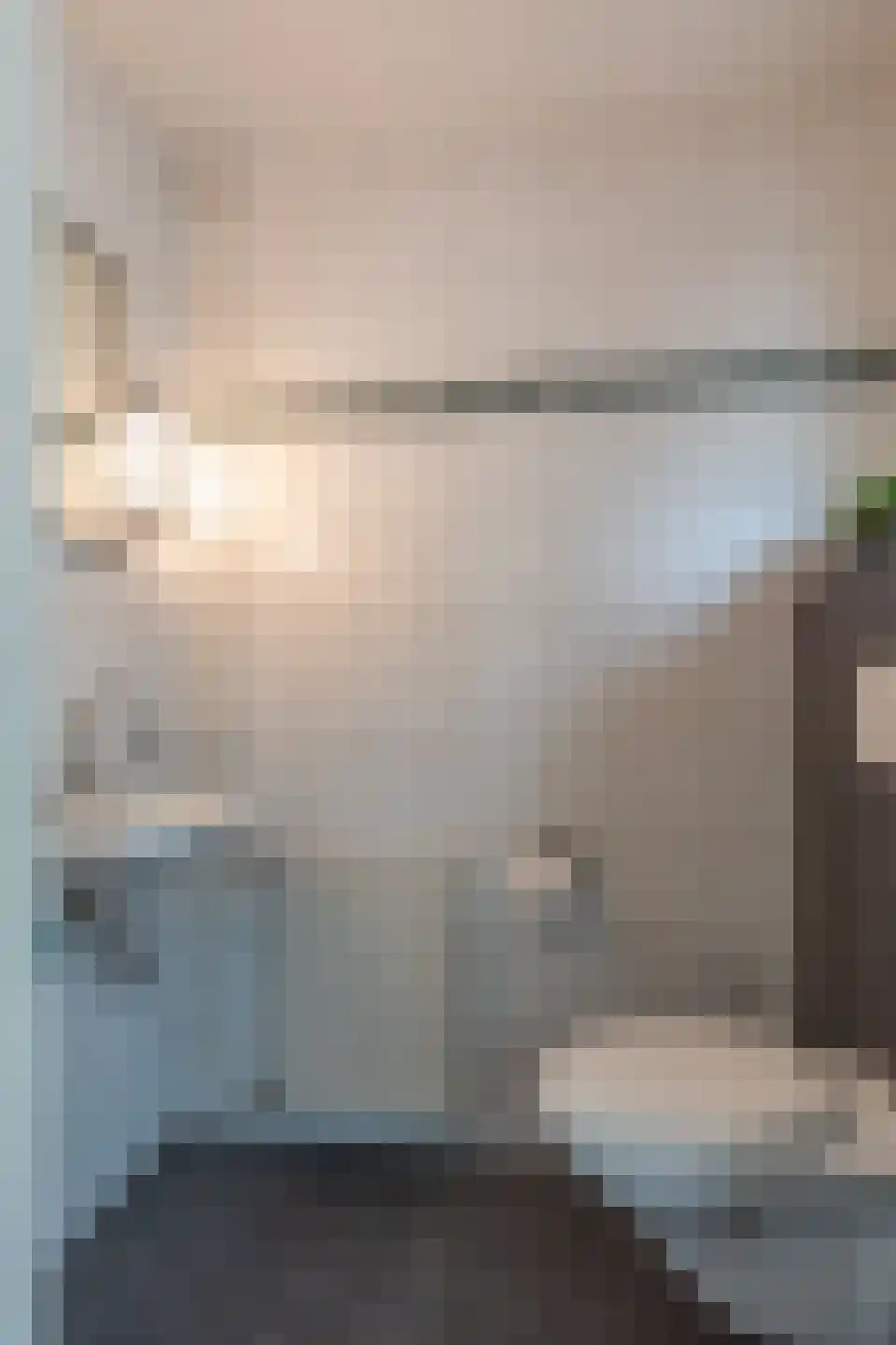 Staai 15 Grevenbicht thumbnail 13