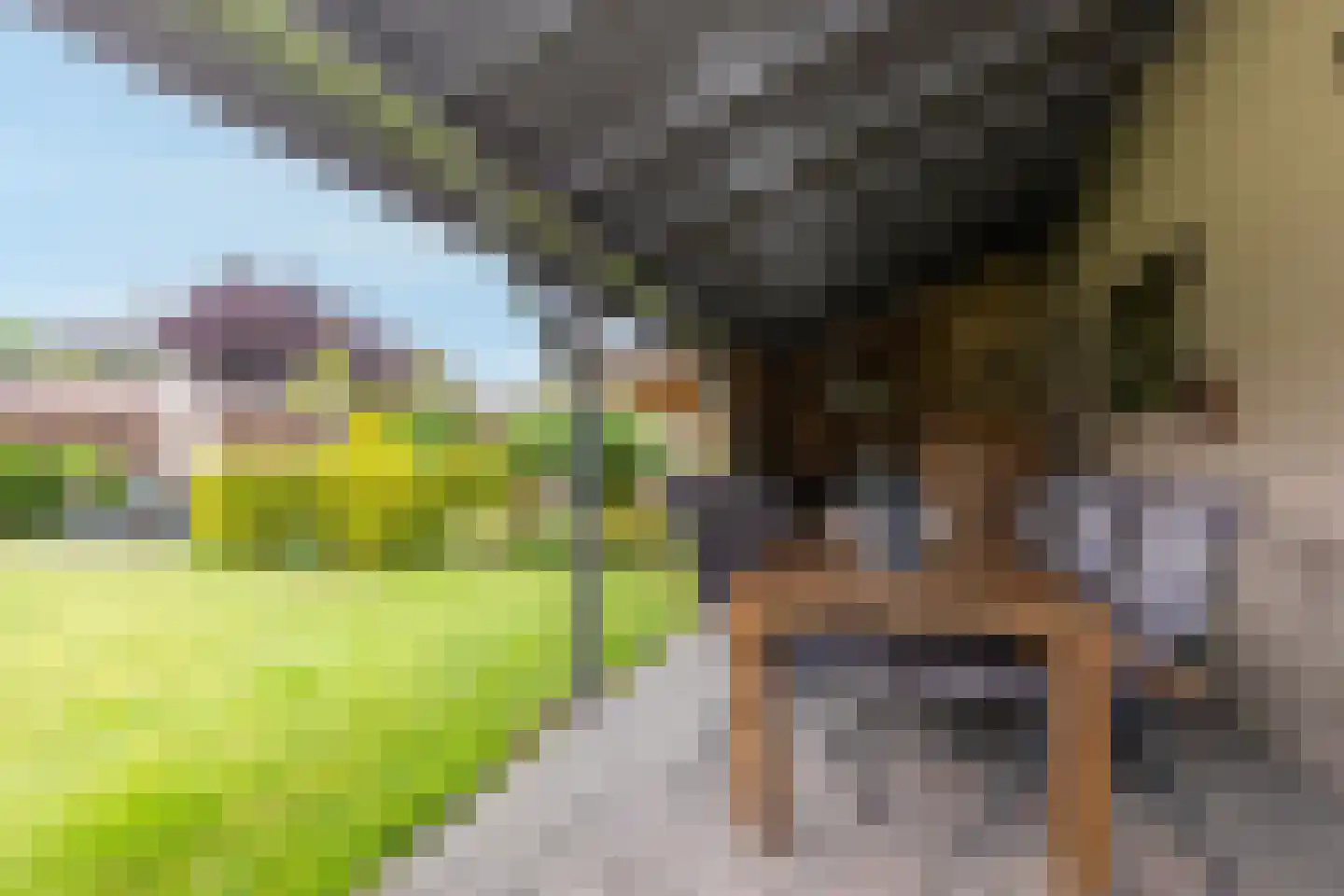 Staai 15 Grevenbicht thumbnail 28