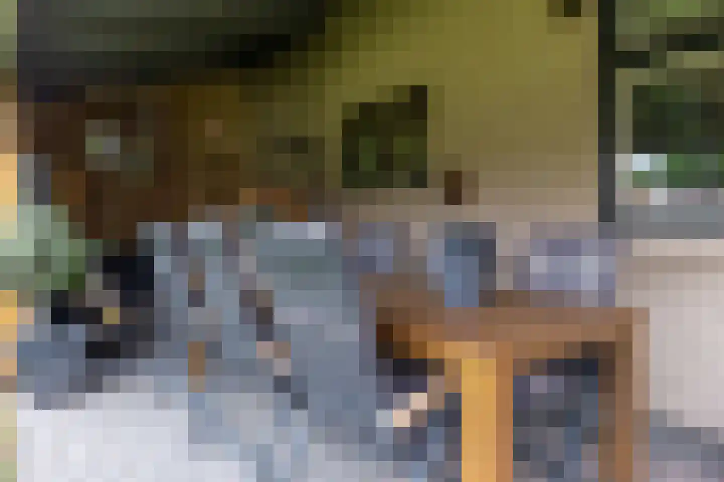 Staai 15 Grevenbicht thumbnail 29
