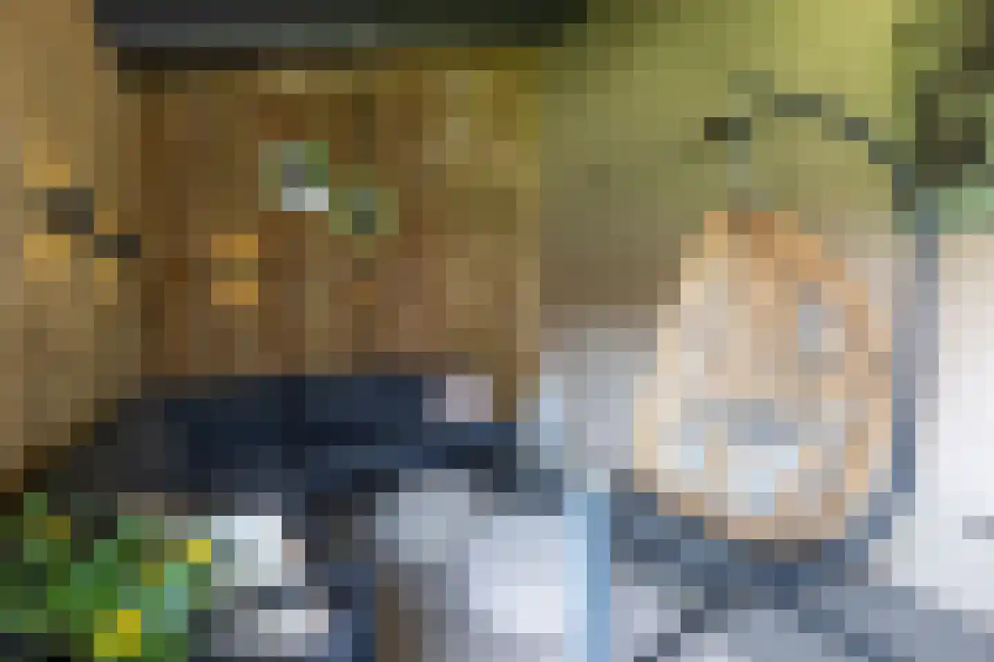Staai 15 Grevenbicht thumbnail 30