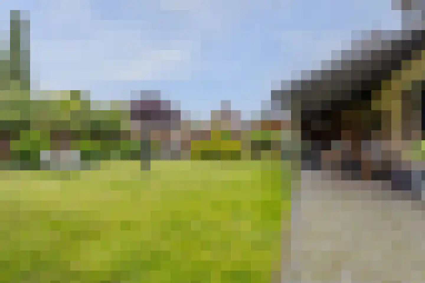 Staai 15 Grevenbicht thumbnail 31