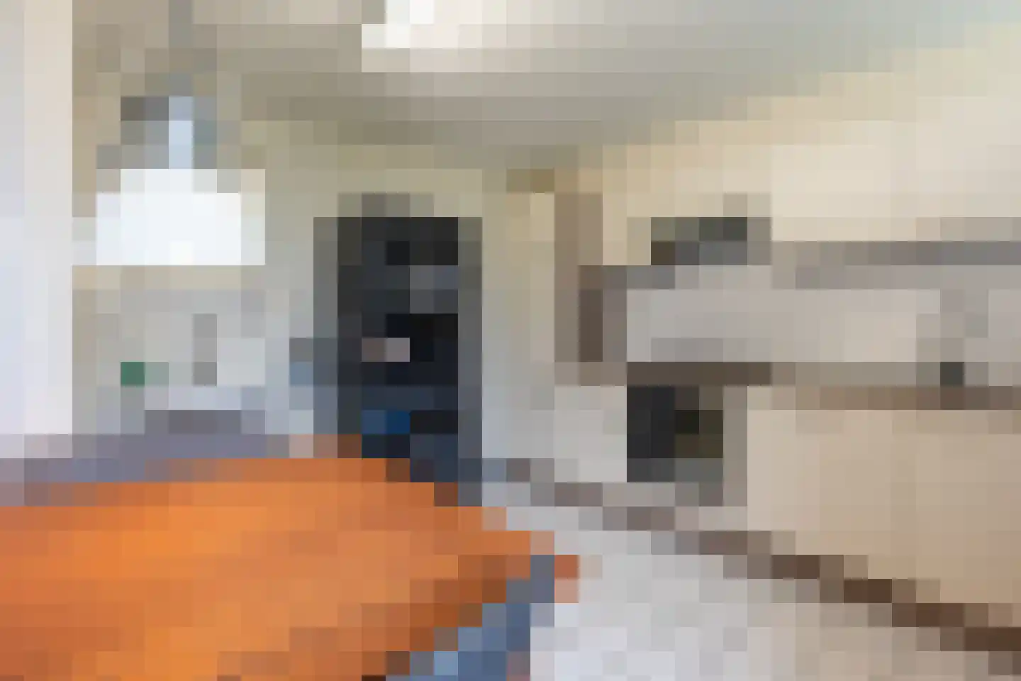 Staai 15 Grevenbicht thumbnail 35