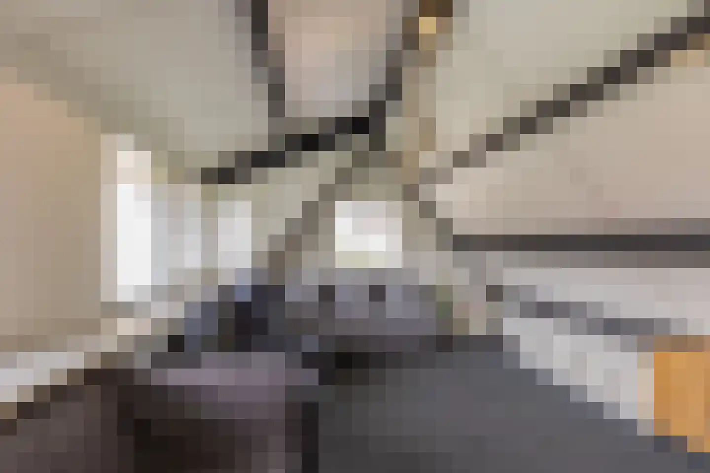 Staai 15 Grevenbicht thumbnail 38
