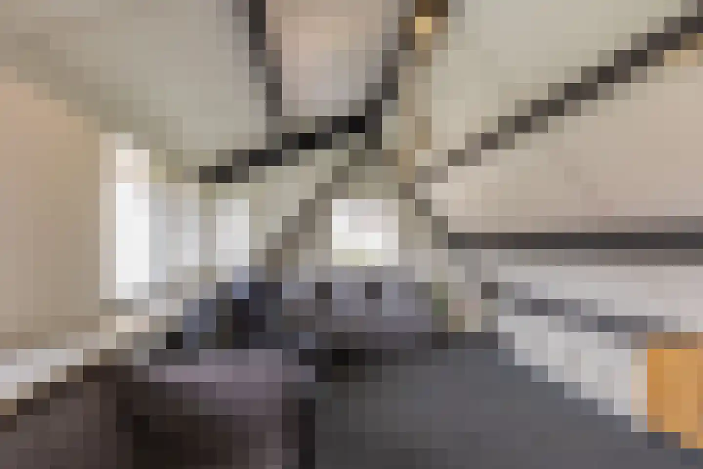 Staai 15 Grevenbicht thumbnail 38