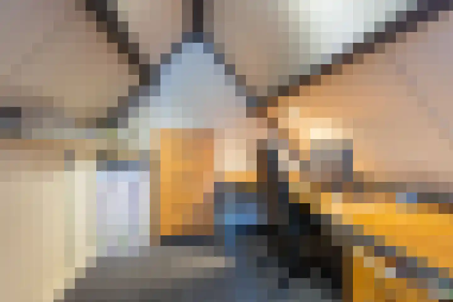 Staai 15 Grevenbicht thumbnail 39