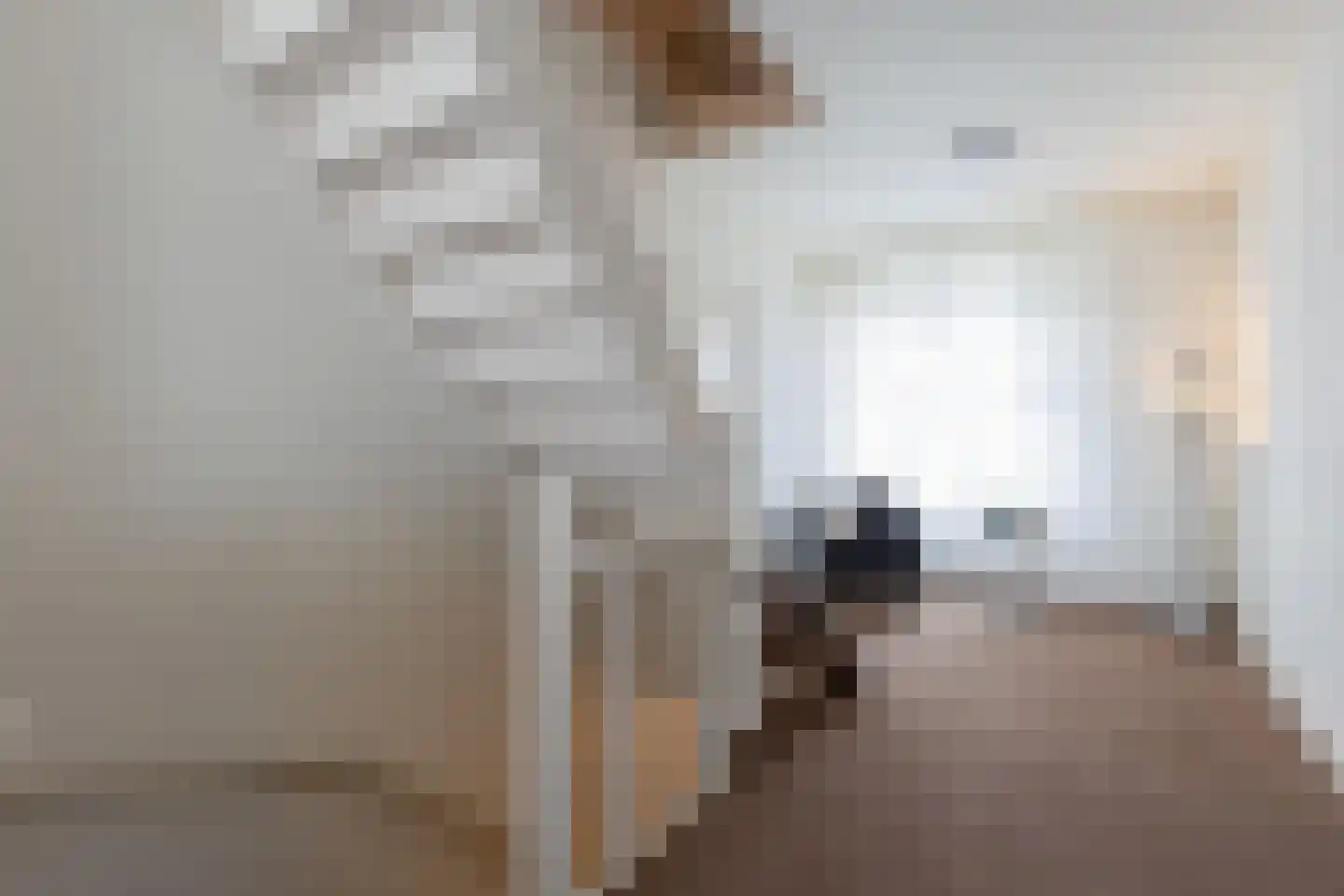 Staai 15 Grevenbicht thumbnail 40