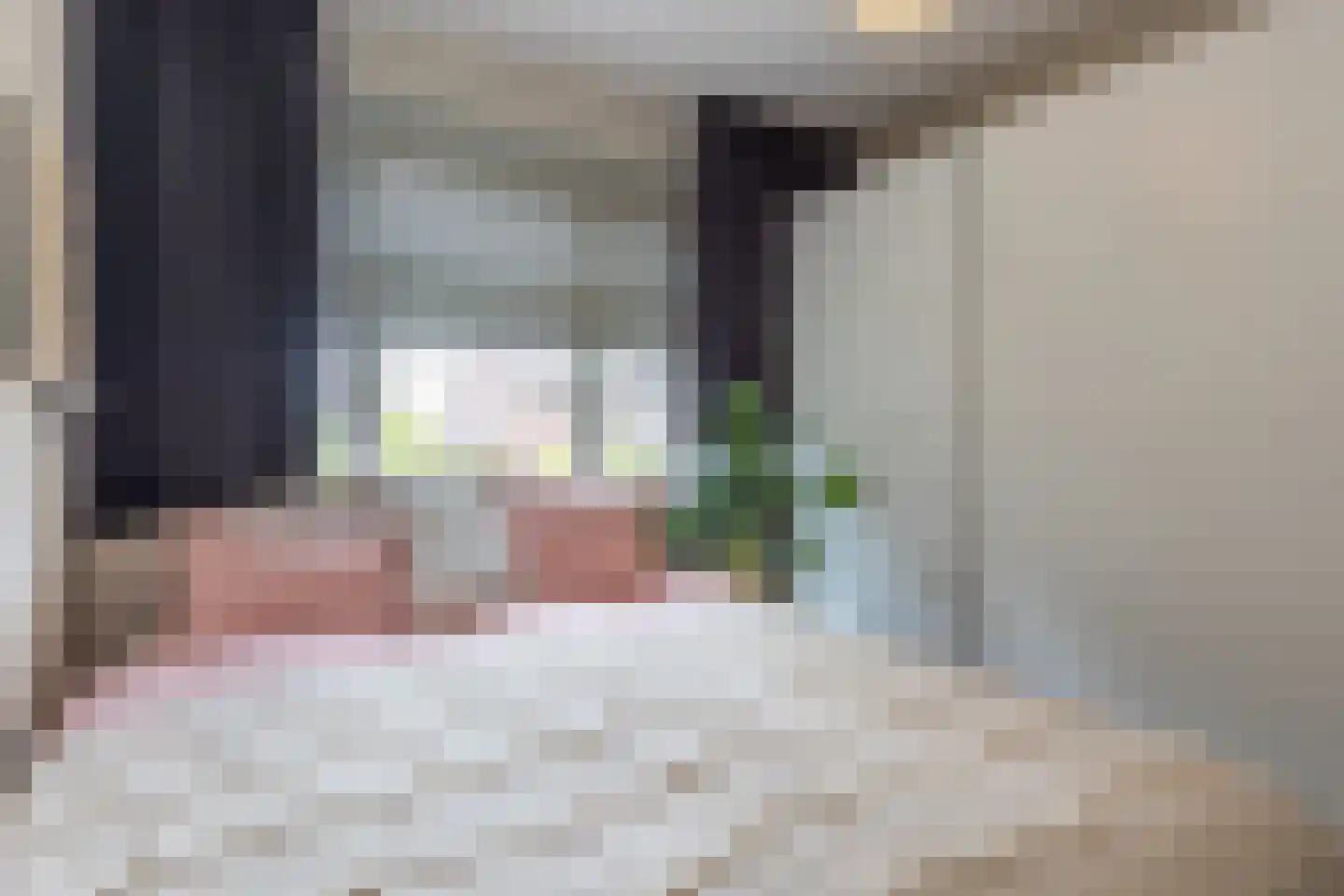 Staai 15 Grevenbicht thumbnail 42