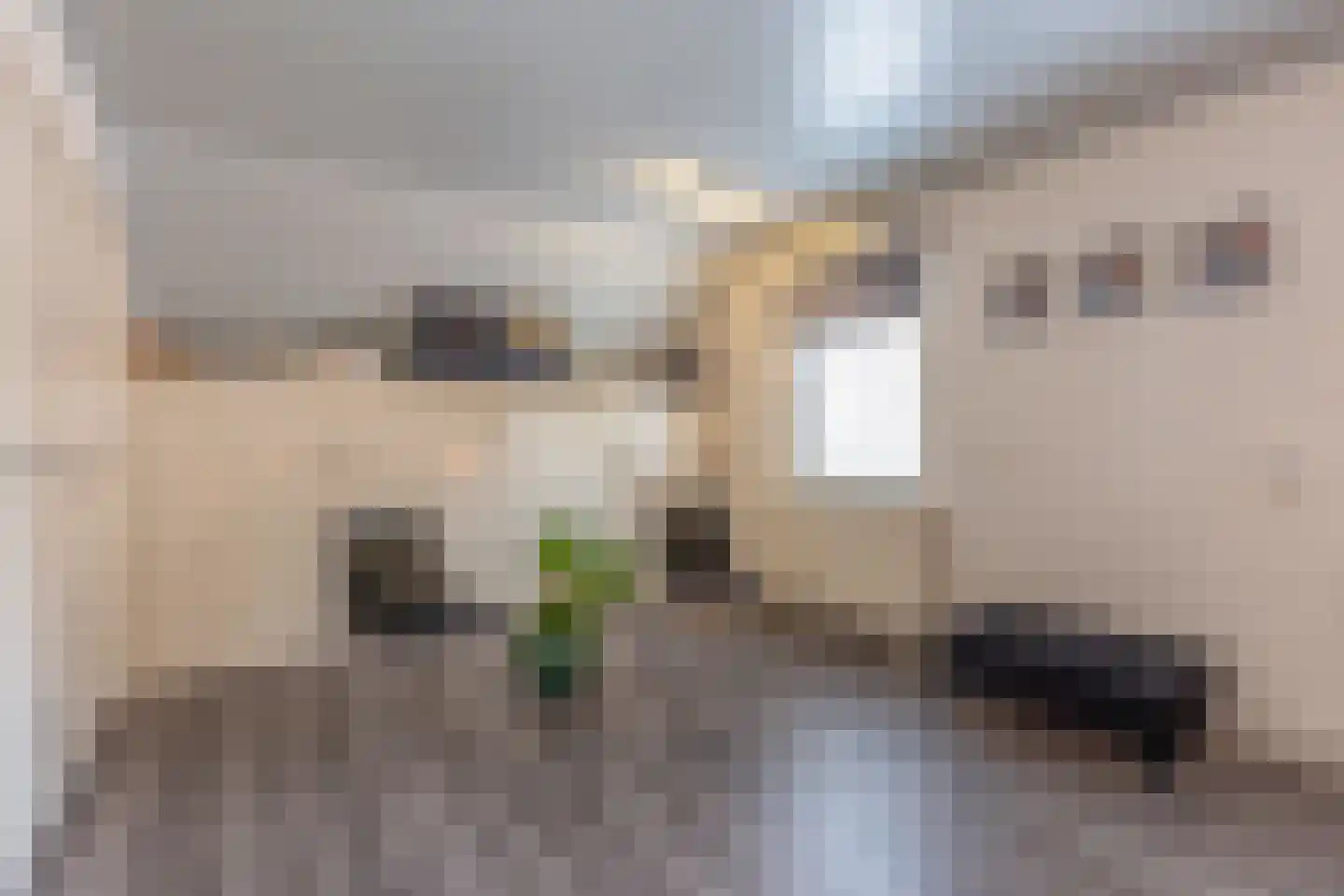 Staai 15 Grevenbicht thumbnail 44