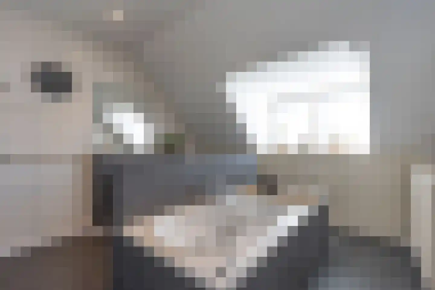 Staai 15 Grevenbicht thumbnail 47