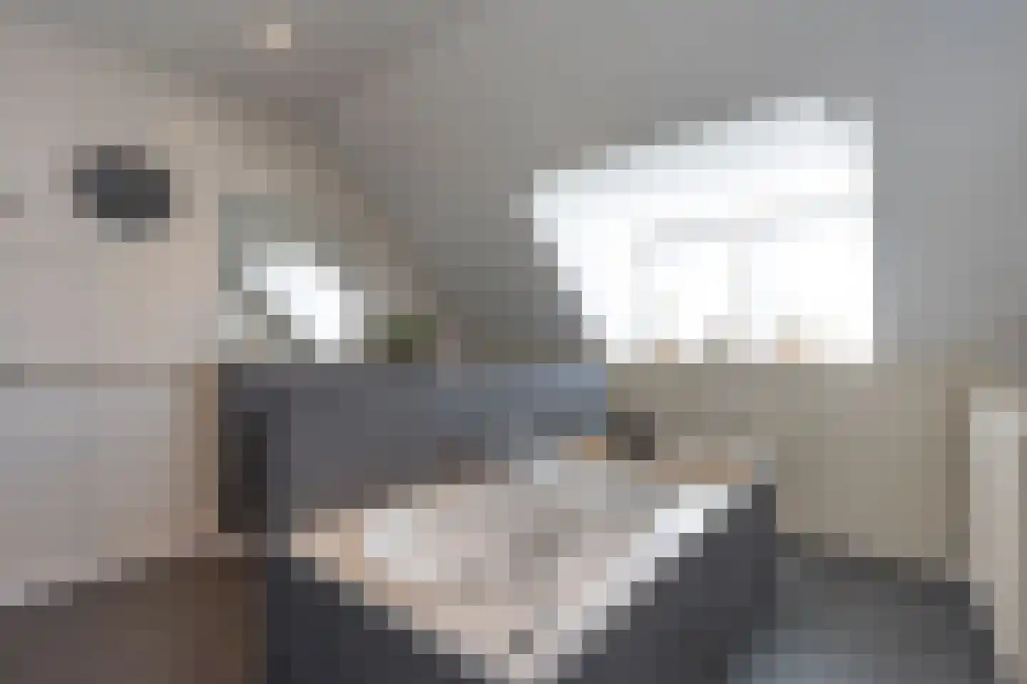 Staai 15 Grevenbicht thumbnail 47