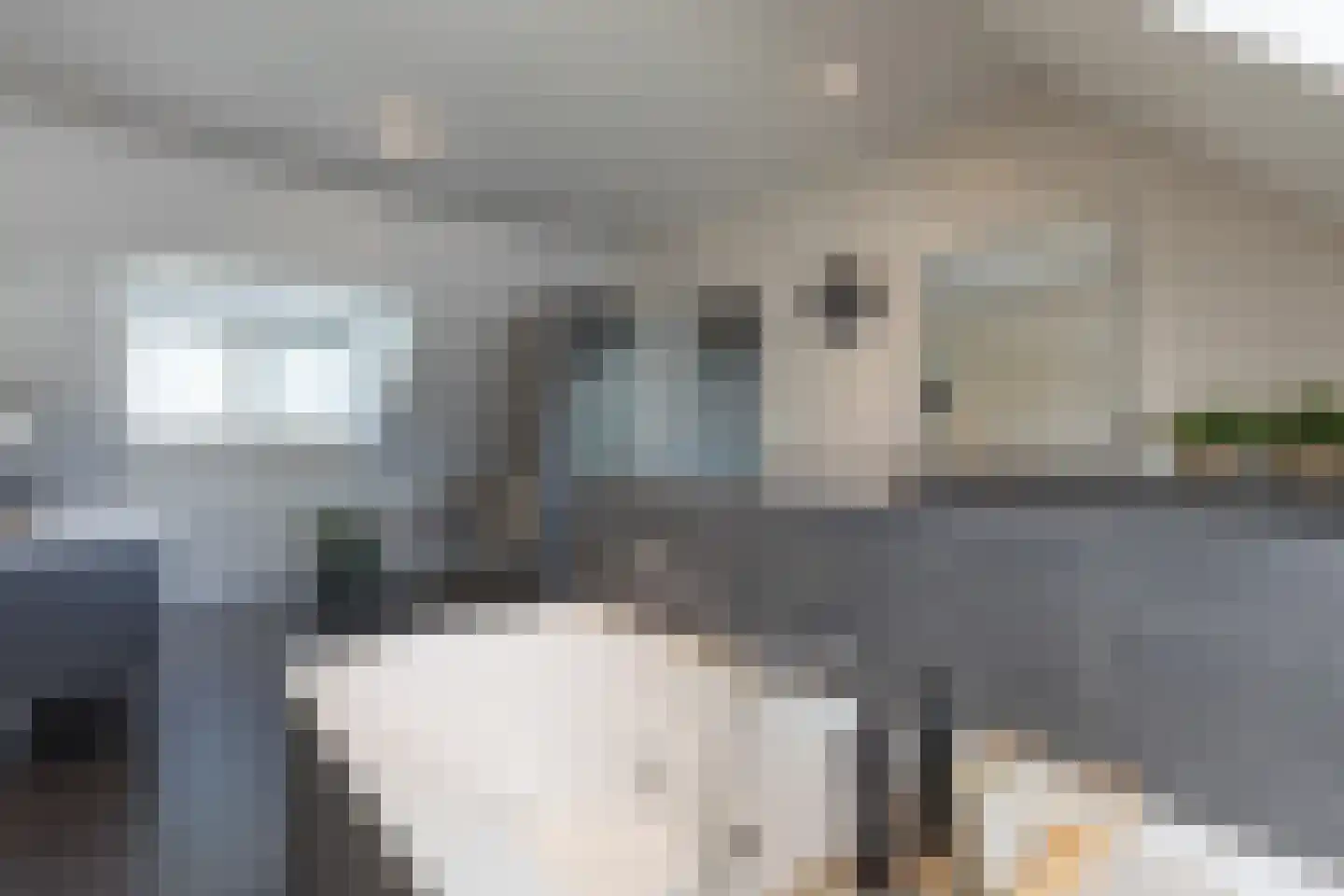 Staai 15 Grevenbicht thumbnail 48