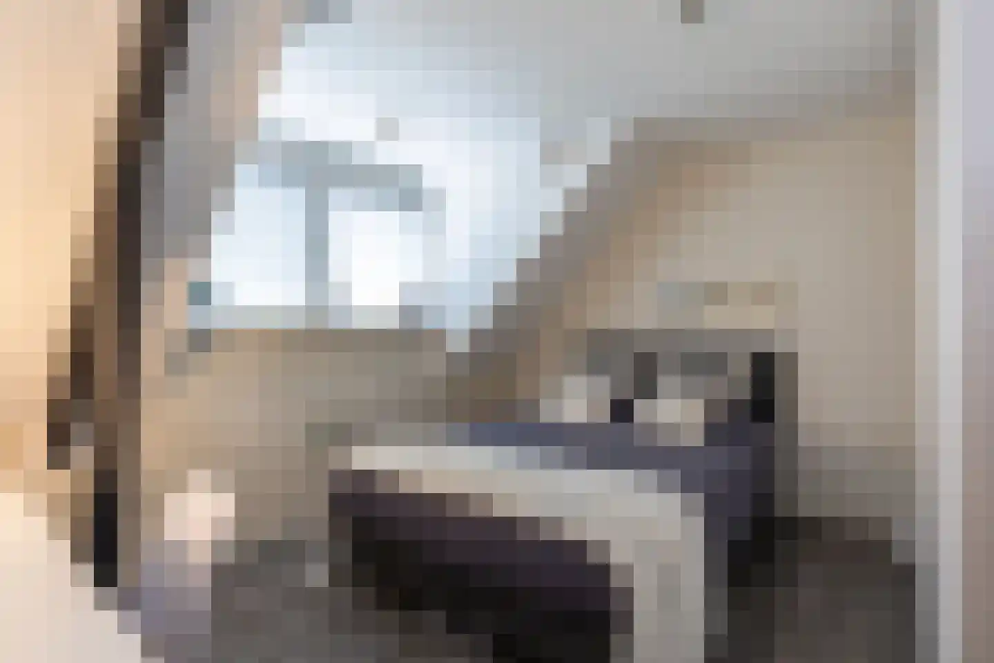 Staai 15 Grevenbicht thumbnail 51