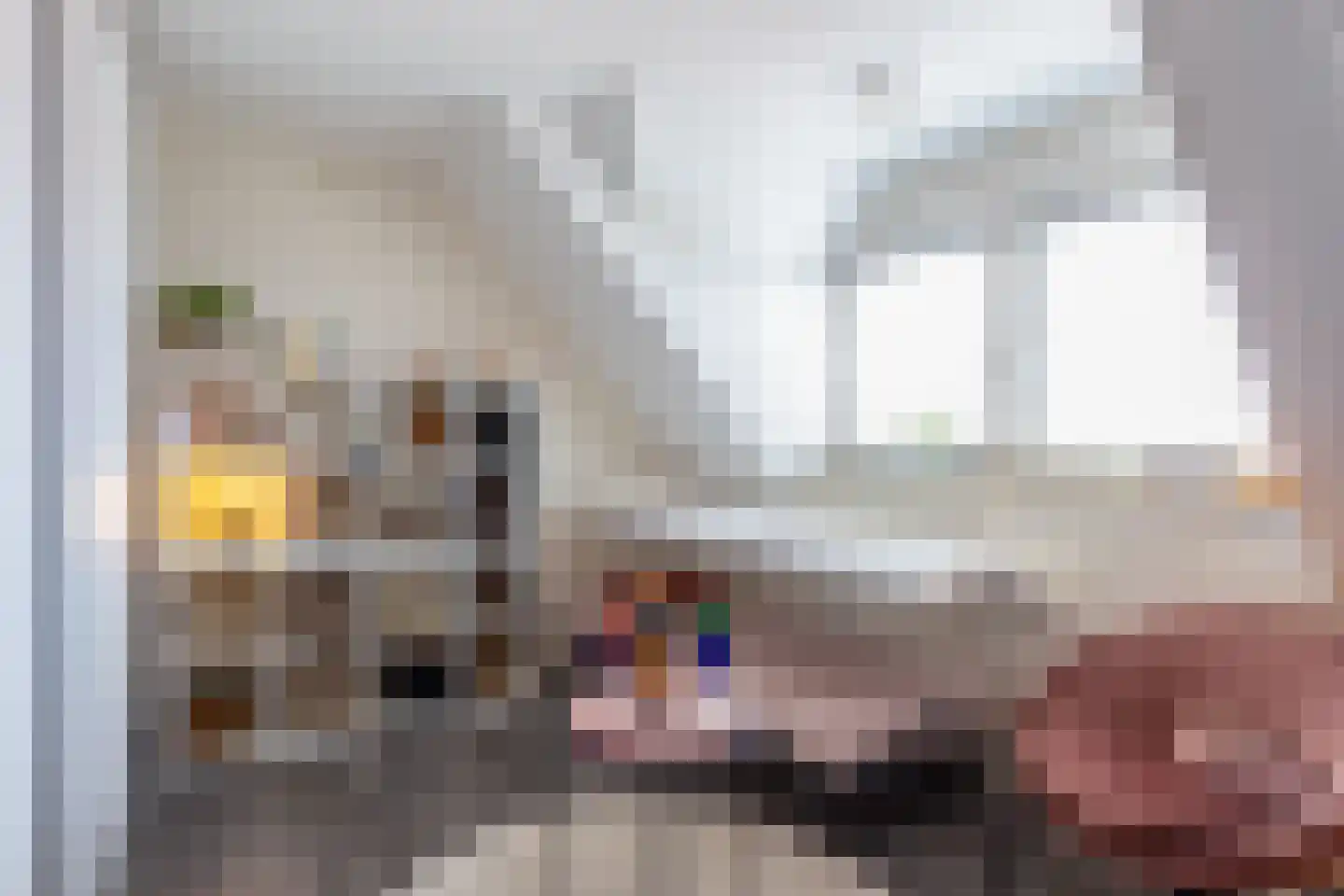 Staai 15 Grevenbicht thumbnail 52