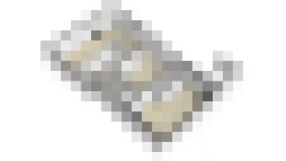 Staai 15 Grevenbicht thumbnail 56