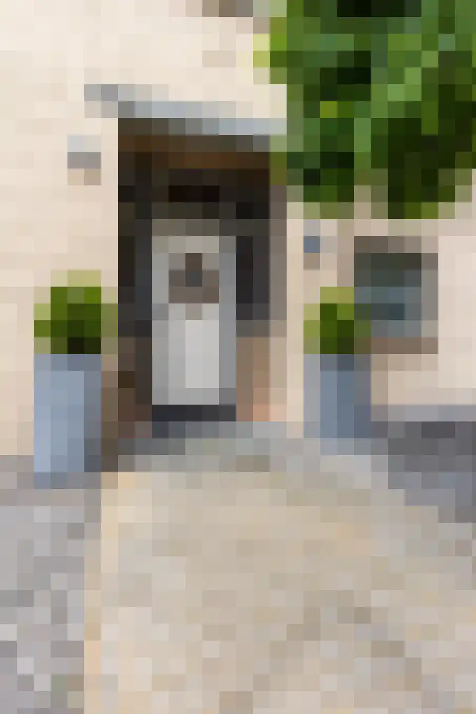 Staai 15 Grevenbicht thumbnail 8
