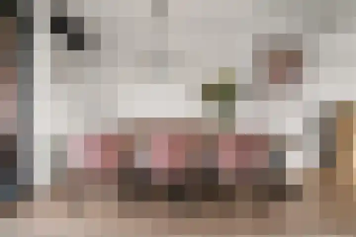 Staai 17 Grevenbicht thumbnail 11