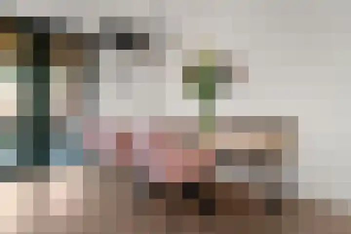 Staai 17 Grevenbicht thumbnail 13