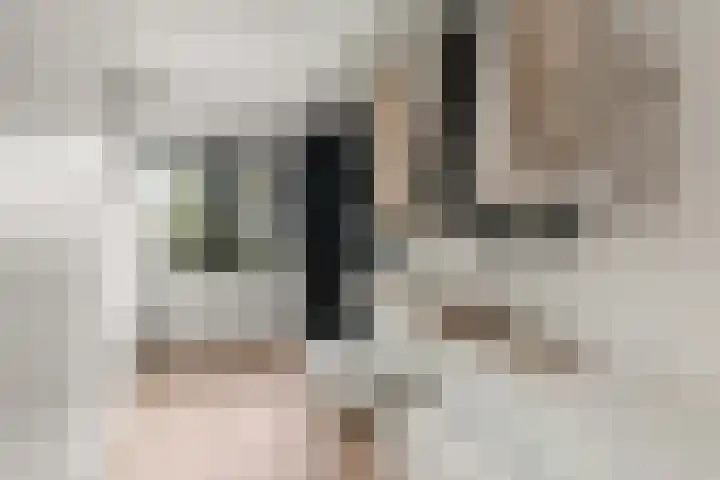 Staai 17 Grevenbicht thumbnail 28