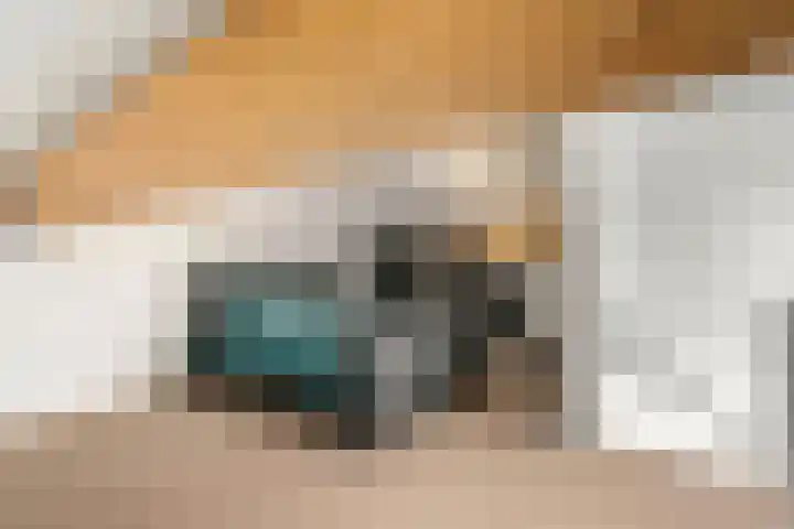 Staai 17 Grevenbicht thumbnail 32