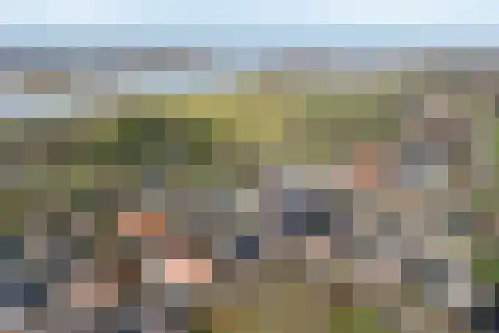 Staai 17 Grevenbicht thumbnail 35