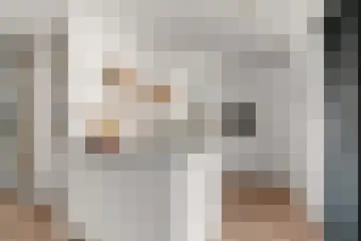 Staai 17 Grevenbicht thumbnail 4