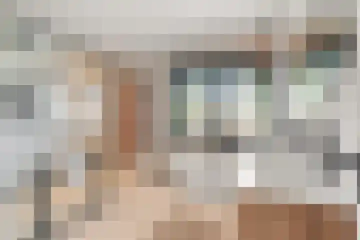 Staai 17 Grevenbicht thumbnail 5